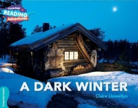 Image of A DARK WINTER
