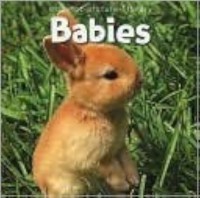 Image of Babies