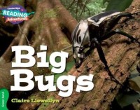 Image of Big Bugs