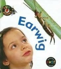 Image of BUG BOOKS: Earwig