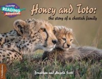 Image of Honey and Toto: the story of a cheetah family