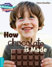 Image of How Chocolate is Made