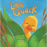 Image of Little Quack
