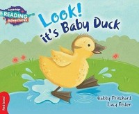 Image of Look! It\'s Baby Duck