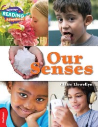 Image of Our Senses