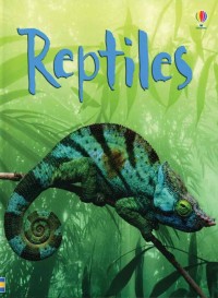 Image of Reptiles