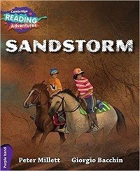 Image of SANDSTORM