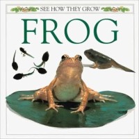 Image of SEE HOW THEY GROW: FROG