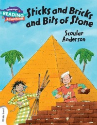 Image of Sticks and Bricks and Bits of Stone