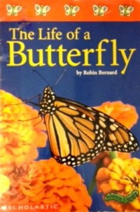 Image of The Life of a Butterfly