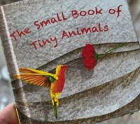 Image of The Small Book of Tiny Animals